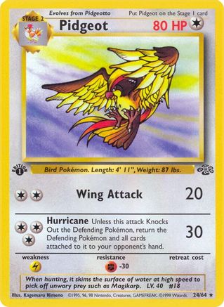 Pidgeot 24/64  - 1st Edition Jungle - Rare