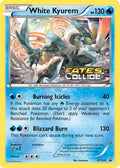 XY Promos