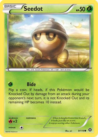 Seedot 009/114  XY  Steam Siege - Common
