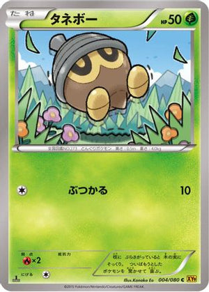 Seedot (004/080) - XY9 Rage of the Broken Heavens Unlimited