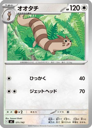 Furret (571/742) - Start Deck 100 Battle Collection