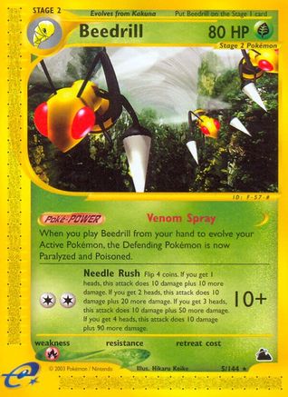 Beedrill (5) (5) 005  - Reverse Holofoil Skyridge - Rare