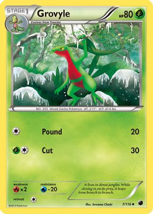 Grovyle 007  Plasma Freeze - Uncommon