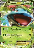 XY Base 