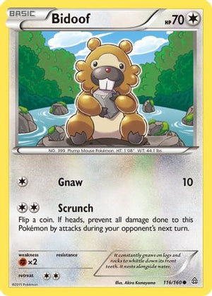 Bidoof 116/160  - Reverse Holofoil XY  Primal Clash - Common