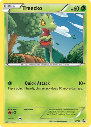 Treecko XY36  - Holofoil XY Promos - Promo