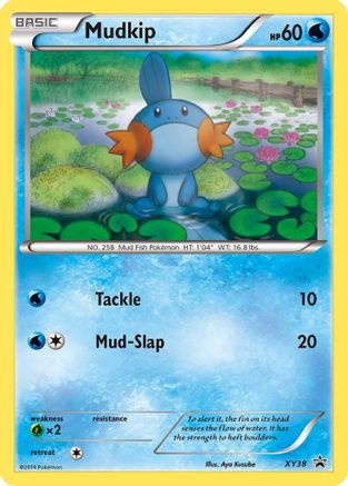 Mudkip XY38  - Holofoil XY Promos - Promo