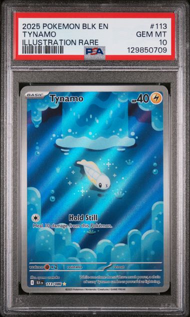 PSA 10 Tynamo #113-Black Bolt – CollectorsRealm